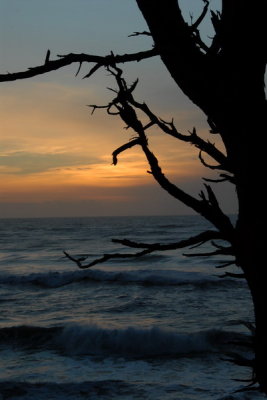 DSC_2690_resize.JPG