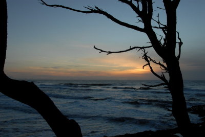 DSC_2692_resize.JPG