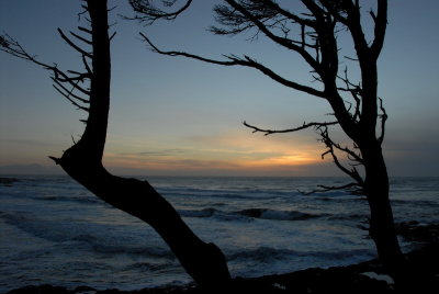 DSC_2696_resize.JPG