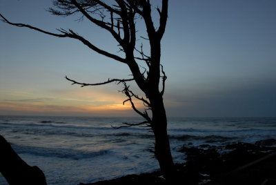 DSC_2698_resize.JPG