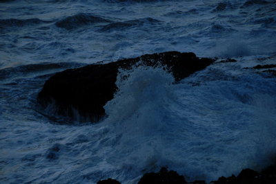 DSC_2704_resize.JPG