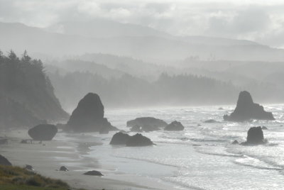 DSC_2796_resize.JPG