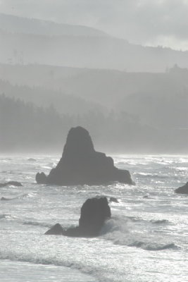 DSC_2804_resize.JPG