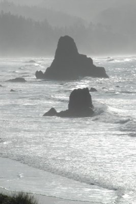 DSC_2806_resize.JPG