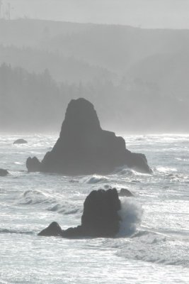 DSC_2813_resize.JPG