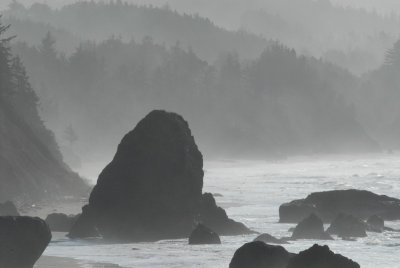 DSC_2818_resize.JPG