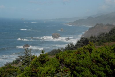 DSC_2821_resize.JPG