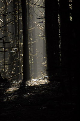DSC_2827_resize.JPG