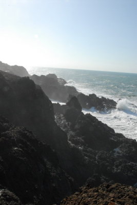 DSC_2869_resize.JPG
