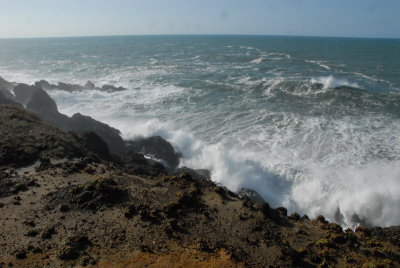 DSC_2891_resize.JPG