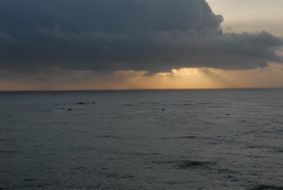 DSC_3030_resize.JPG