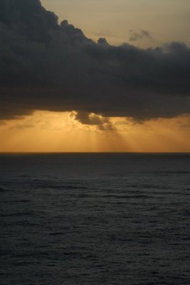 DSC_3038_resize.JPG