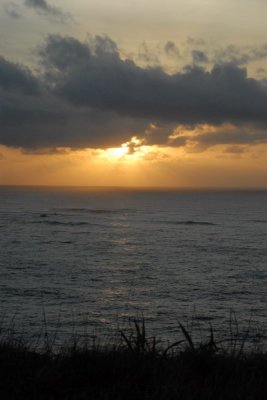 DSC_3043_resize.JPG