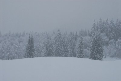 DSC_3304_resize.JPG