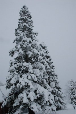 DSC_3322_resize.JPG