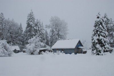 DSC_3324_resize.JPG