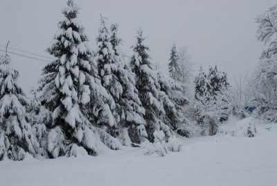 DSC_3336_resize.JPG