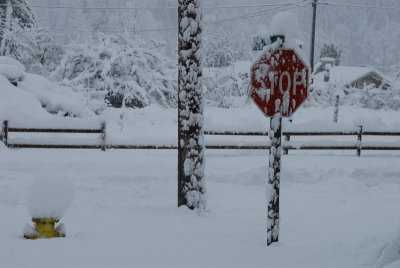 DSC_3342_resize.JPG
