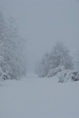 DSC_3351_resize.JPG