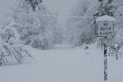 DSC_3353_resize.JPG