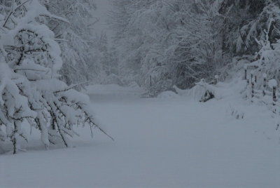 DSC_3355_resize.JPG