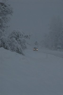 DSC_3357_resize.JPG