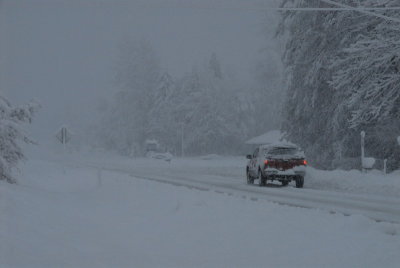 DSC_3358_resize.JPG