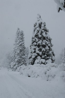 DSC_3370_resize.JPG