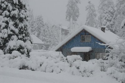 DSC_3371_resize.JPG