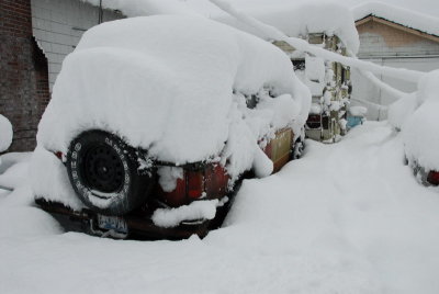DSC_3383_resize.JPG