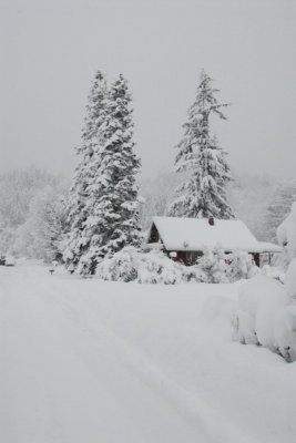 DSC_3396_resize.JPG