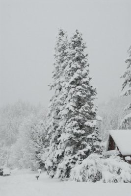 DSC_3397_resize.JPG