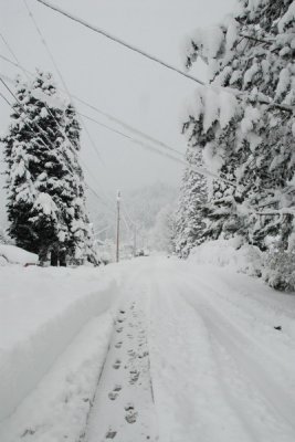 DSC_3406_resize.JPG