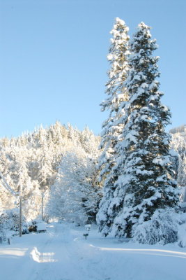 DSC_3420_resize.JPG