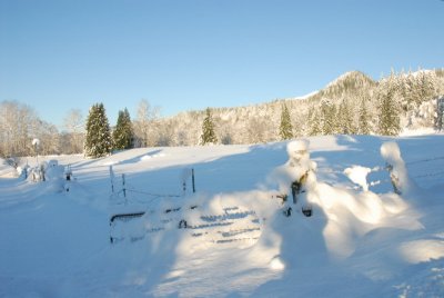 DSC_3423_resize.JPG