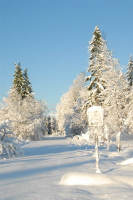 DSC_3430_resize.JPG