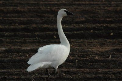 DSC_4148_resize.JPG