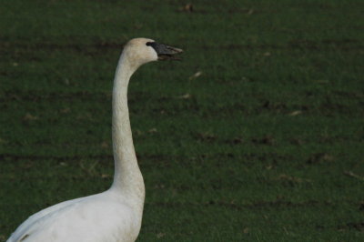 DSC_4159_resize.JPG