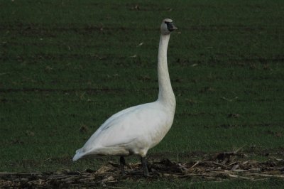 DSC_4171_resize.JPG