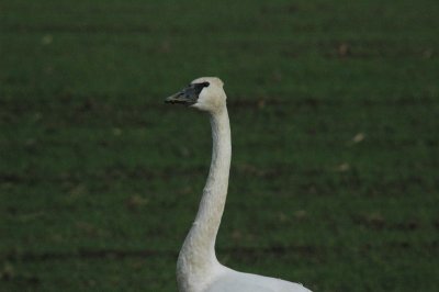 DSC_4181_resize.JPG