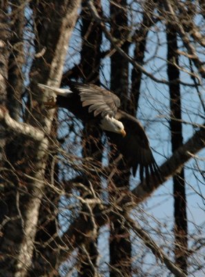 DSC_4412b_resize.jpg