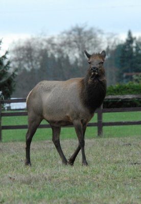 DSC_3592a_resize.jpg