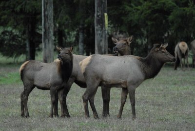 DSC_3599_resize.JPG