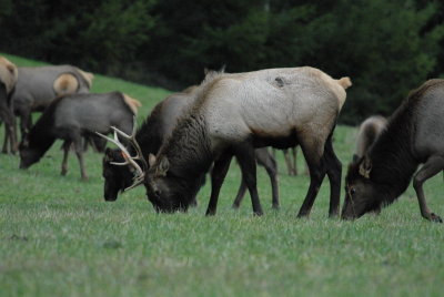 DSC_3632_resize.JPG