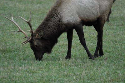 DSC_3635_resize.JPG
