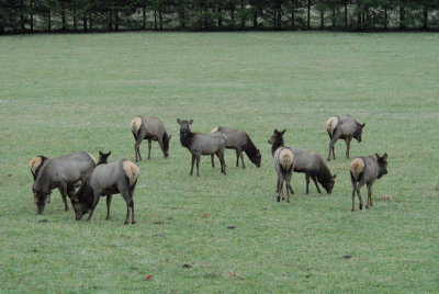 DSC_3656_resize.JPG