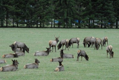 DSC_3664_resize.JPG