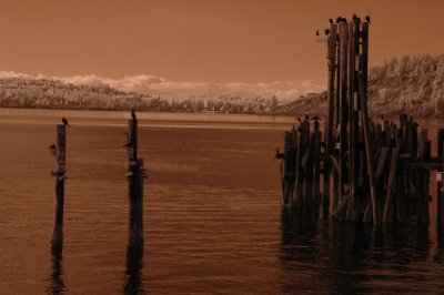 DSC_1008_resize.JPG