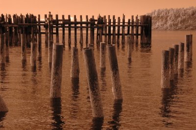 DSC_1013_resize.JPG