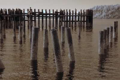 DSC_1013a_resize.jpg